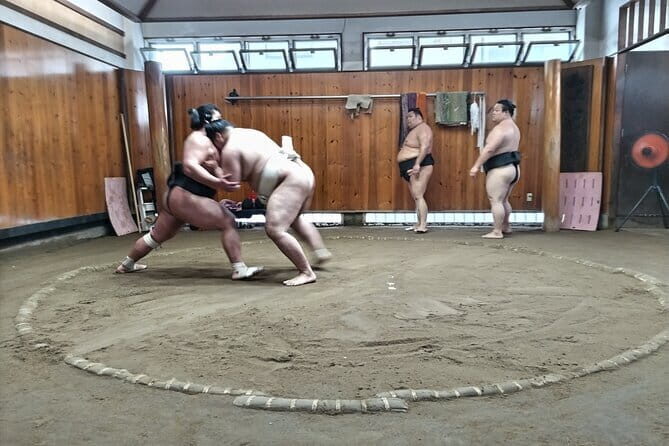 Sumo Practice Viewing Guided Tour and Photo with Sumo Wrestlers - Tatsunami-beya and why “practice viewing” matters