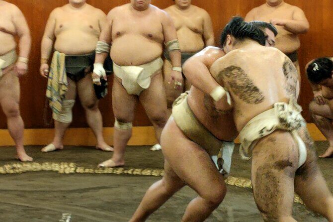 Sumo Training Watching Experience in Tokyo - Key highlights at a glance