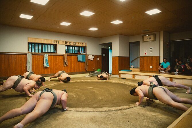 Sumo Wrestlers Morning Practice Tour – Tokyo Sumida District - Price and value: is $83.23 worth it?