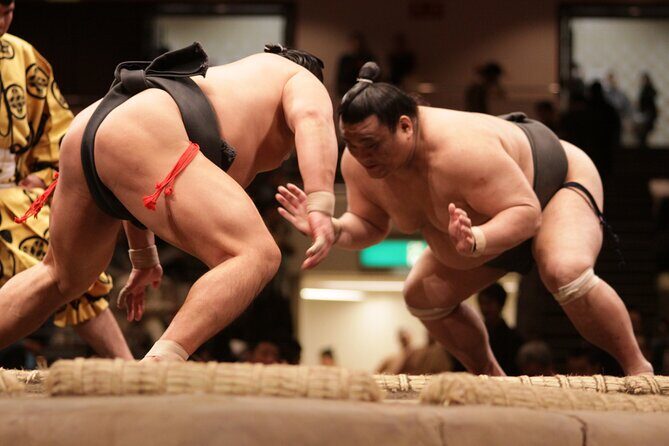Sumo Wrestling Tournament Chair Seats & Expert Guide | Osaka Mar - Key things you should know before you go