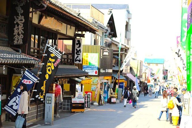Takamatsu Half-Day Private Tour with Government-Licensed Guide - Takamatsu Castle on the waterfront: history you can walk through
