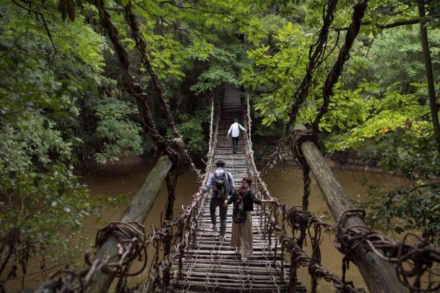 Takamatsu: Private Customizable Tour with Local Guide - Why a Private Guide Changes Takamatsu (Fast)