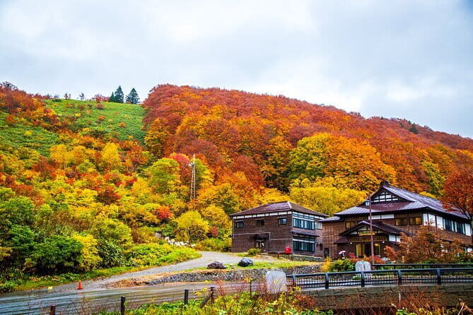Takayama Inari Shrine Tour with Private Transportation - 9:00am timing: a clean half-day rhythm