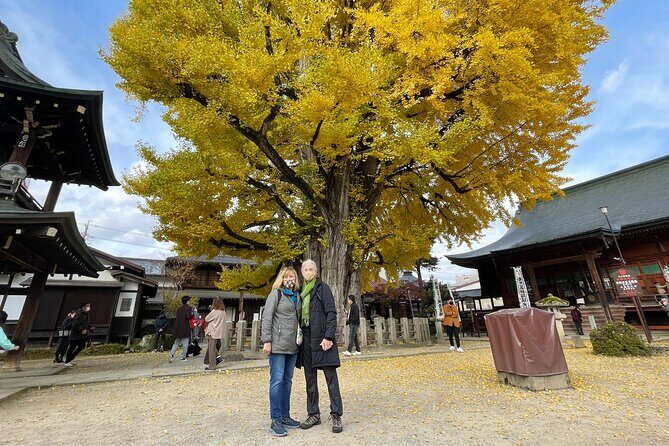 Takayama Local Cuisine, Food & Sake Cultural Tour with Government-Licensed Guide - Takayama’s Edo-era streets, explained by a government-licensed guide
