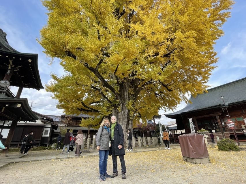 Takayama: Private Walking Tour with a Local Guide - Why Takayama feels different on foot