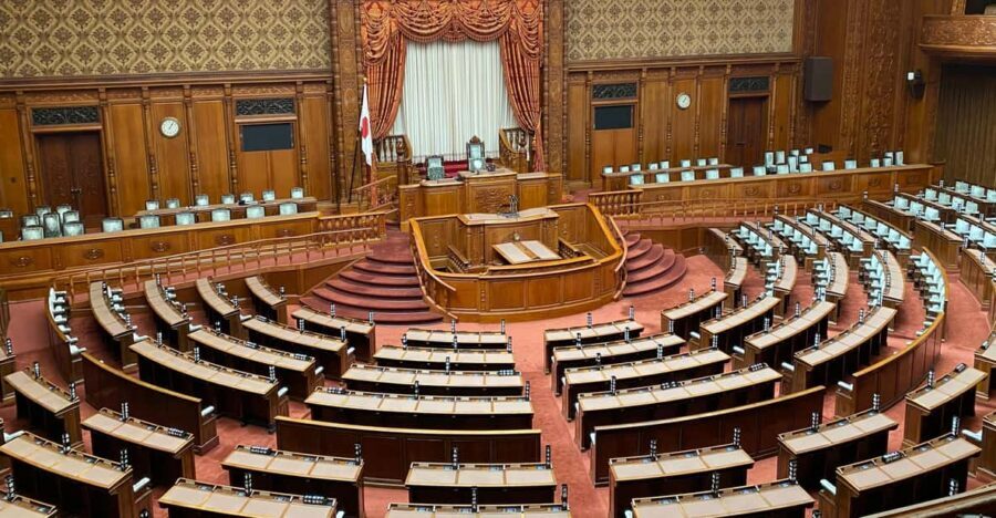 Tameike: Exploring the Heart of Japanese Politics Tour - Key highlights I think you’ll feel right away