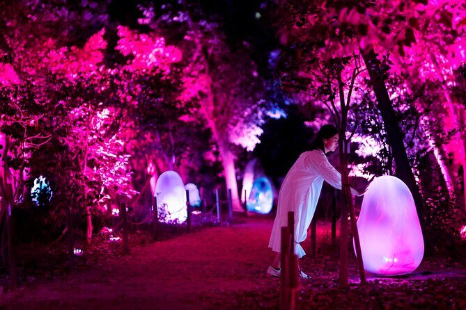 TeamLab Botanical Garden Osaka Ticket - Timing and Flow: Why the 7:00 PM Start Matters