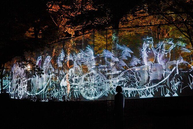 TeamLab Botanical Garden Osaka Ticket - Rules That Affect Your Experience (and Your Photos)