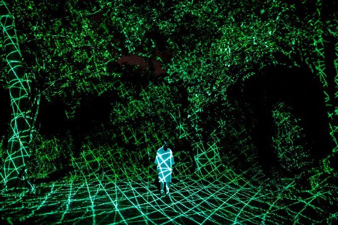 TeamLab Botanical Garden Osaka Ticket - Should You Book This TeamLab Botanical Garden Osaka Ticket?