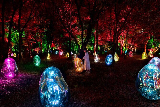 TeamLab Botanical Garden Osaka Ticket - The Bald Cypress Forest: Light, Sound, and Movement