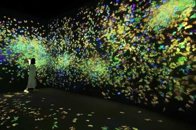 teamLab Forest Fukuoka an Immersive Art Experience Ticket - Catch and Collect Forest: the easy-to-start animal game