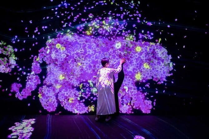 teamLab Forest Fukuoka an Immersive Art Experience Ticket - A note on maintenance and how to keep expectations smooth