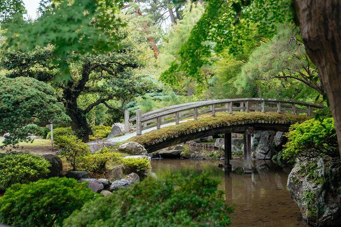The Beauty of Kyoto by Bike: Private Tour - Guides and pacing: what the best hosts actually do