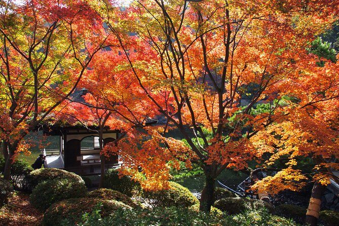 The Best of Wakayama City Private Tour - Wakayama Castle: tower access and the steep-steps reality