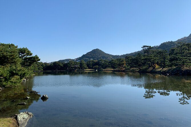 The Best of Wakayama City Private Tour - Kuroshio Market: tuna-cutting show and smart snack strategy