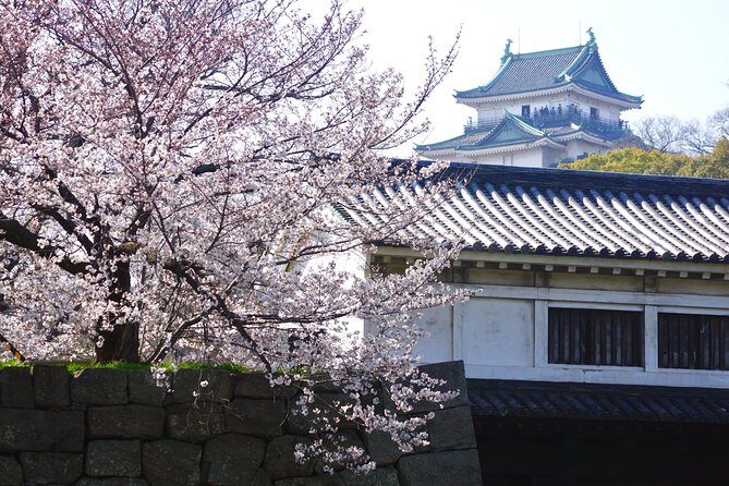 The Best of Wakayama City Private Tour - Price and value: what you’re paying for (and what you should budget)