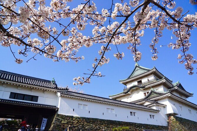 The Best of Wakayama City Private Tour - Kishi Station: decorated trains and the cat station master moment