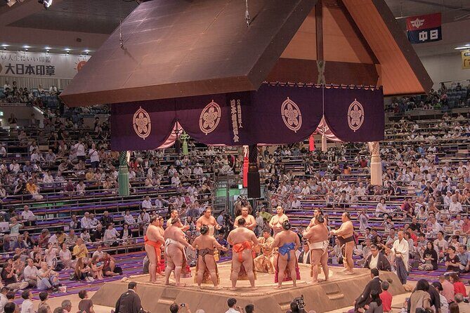 The Best Sumo Tournament Experience in Nagoya - Key things I’d bet you’ll care about
