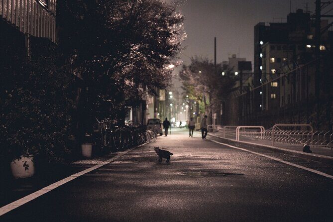 The Dark Side of Osaka Walking Tour - Stop 1: Shinsekai and Tsutenkaku’s street-level mood