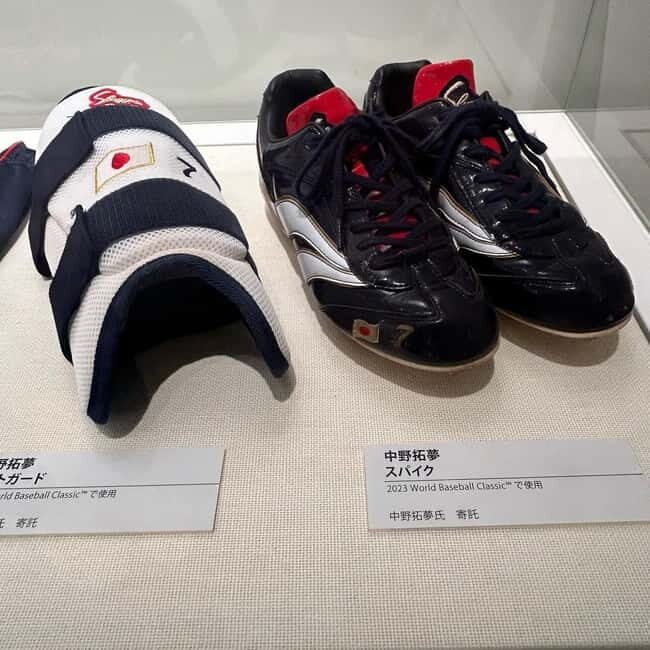 The Museum of Hanshin Koshien Stadium Entry Ticket - The Hanshin Tigers connection: why it matters