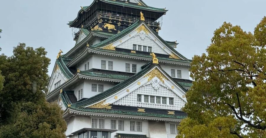 (Ticket Included) Explore Osaka Castle & Museum of History - Key highlights worth planning around
