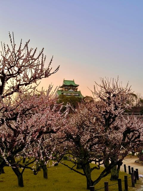 (Ticket Included) Explore Osaka Castle & Museum of History - Osaka Castle Park: a calm morning walk with photo spots