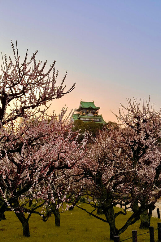 (Ticket Included) Explore Osaka Castle & Museum of History - Finding the meeting point at 難波宮跡 (標柱) without stress