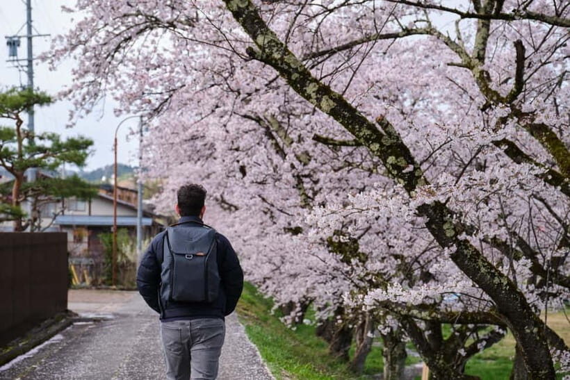 Timeless Takayama: Private Walk Through History & Beauty - Key highlights worth planning around