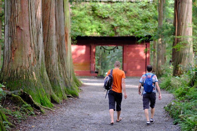 Togakushi: A Serene Walk Through Sacred Forests & Soba Traditions - Nagano to Togakushi by van: where the tour really starts