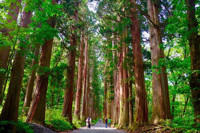 Togakushi: A Serene Walk Through Sacred Forests & Soba Traditions - Optional Togakure Ninpo Museum: when you want a side quest