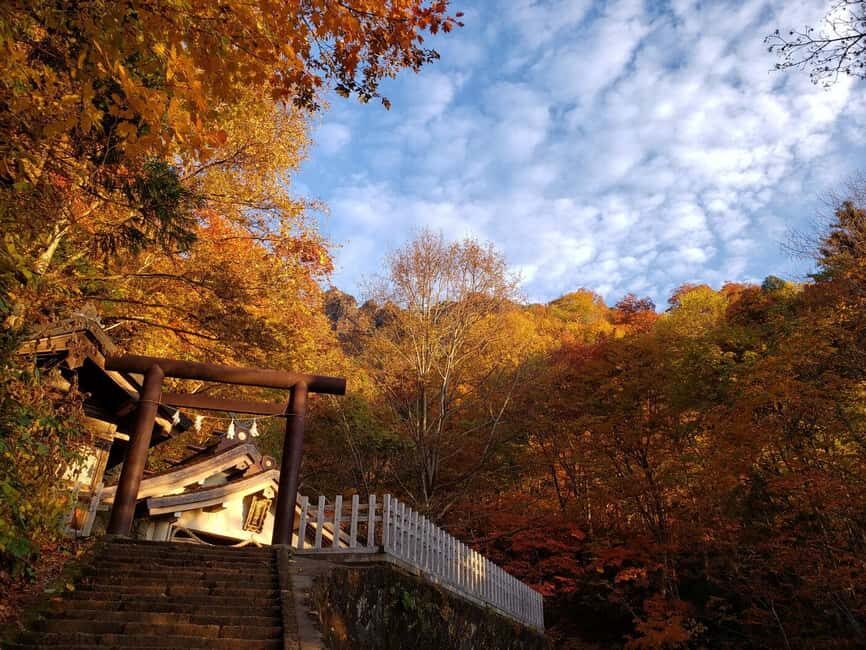 Togakushi & Best of Nagano: Snow Monkeys, Obuse and more - What weather and winter conditions mean for your plan