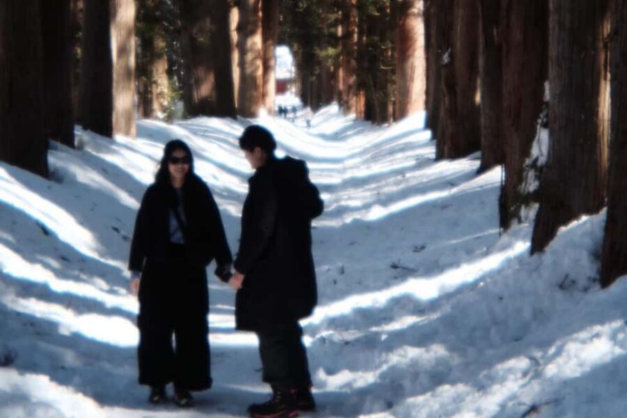 Togakushi & Best of Nagano: Snow Monkeys, Obuse and more - Togakushi-Jinja and the giant cedar avenue: why this 2km walk feels different