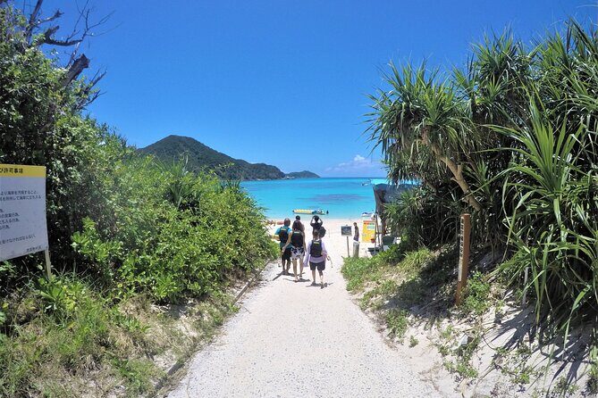 Tokashiki Island Day Trip from Naha - Tokashiki Island Day Trip From Naha: The Real-World Value