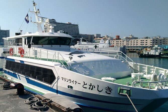 Tokashiki Island Day Trip from Naha - Getting Around Tokashiki: Shuttles, Shower Rooms, and Beach Comfort