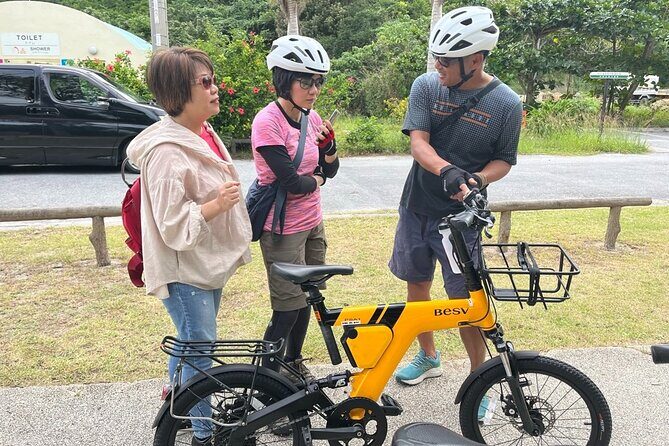 Tokashiki Island Guided Cycling Tour for 3-hours Course - Stop 3: Forest Roads, Seasonal Flowers, and Island Wildlife Moments