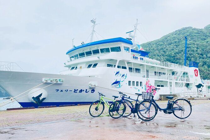 Tokashiki Island Guided Cycling Tour for 3-hours Course - Stop 4: Tokashiku Beach and Its Sea Turtle Connection (Plus Shade Time)