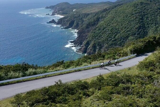 Tokashiki Island Guided Cycling Tour for 3-hours Course - What You’re Really Paying For: Value at $97.55