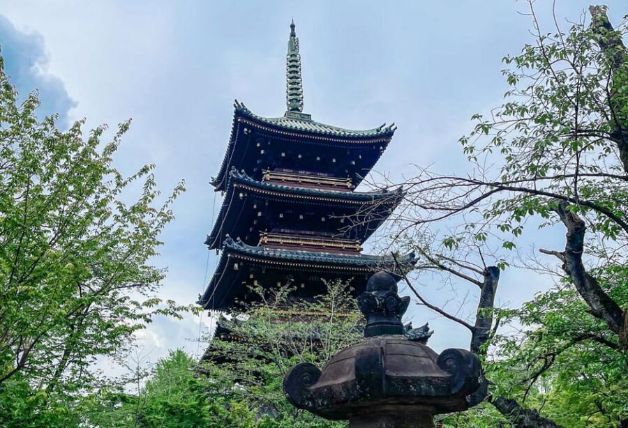 Tokio A: Tour de la ciudad en Español - Spanish - Logistics that actually affect your day