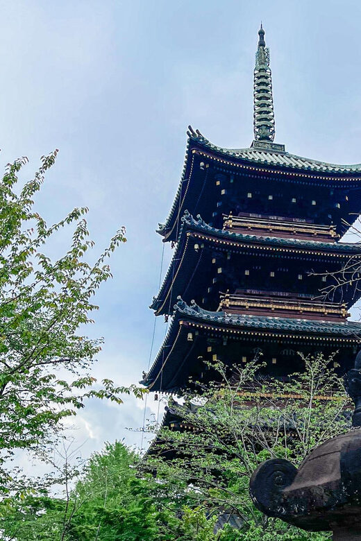 Tokio A: Tour de la ciudad en Español - Spanish - Ueno Park in guided time: nature, people-watching, and a slower pace