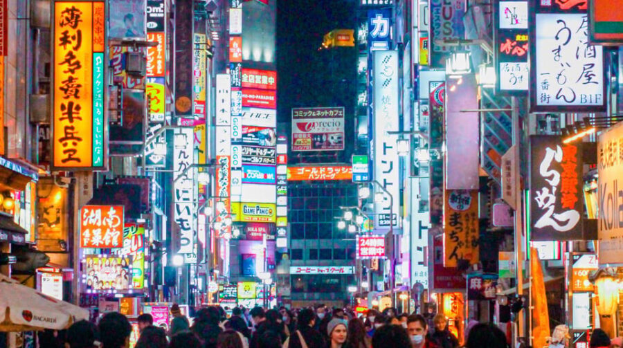 Tokio A: Tour de la ciudad en Español - Spanish - Shinjuku and the viewpoint plan: city scale in one look