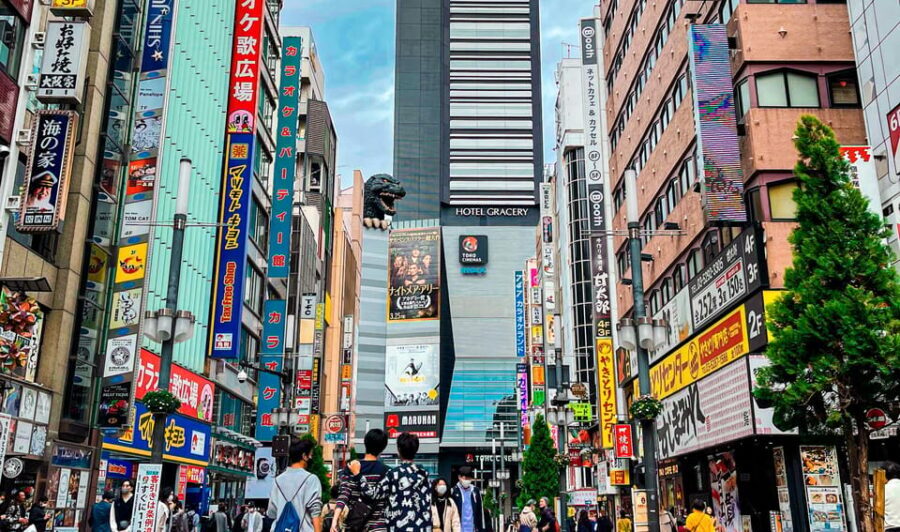 Tokio A: Tour de la ciudad en Español - Spanish - The guides make the day: friendly, flexible, and helpful in Spanish
