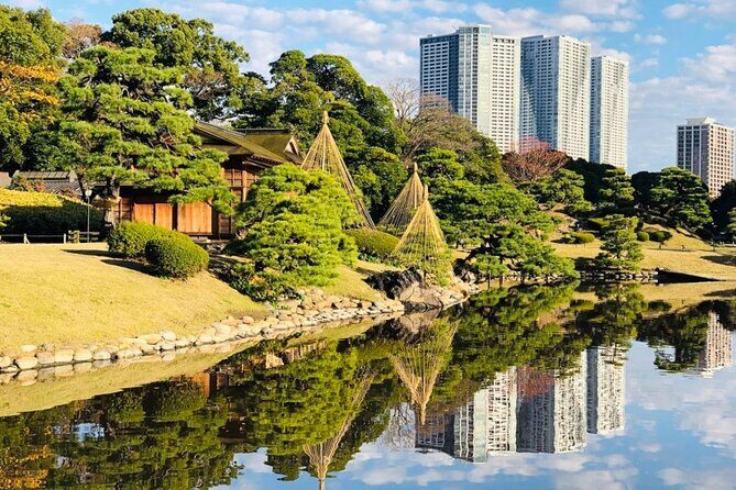 Tokyo 1-Day Bus Tour, pickup from 28 designated hotels in Tokyo - Hinode Pier to Asakusa by boat: a scenic win, but check the contingency