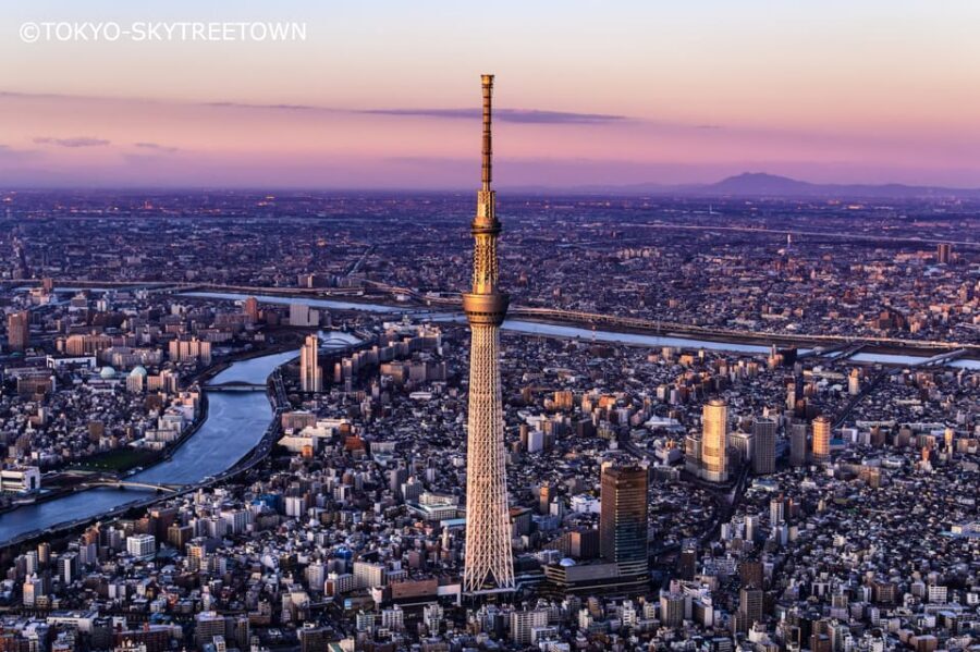 Tokyo: 1 Day Bus Tour with Meiji-Jingu,Odaiba,lunch&Skytree - Key highlights that matter