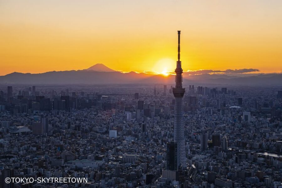 Tokyo: 1 Day Bus Tour with Meiji-Jingu,Odaiba,lunch&Skytree - Meiji-Jingu: Forest Air, Big Torii Energy, and a Calm Start