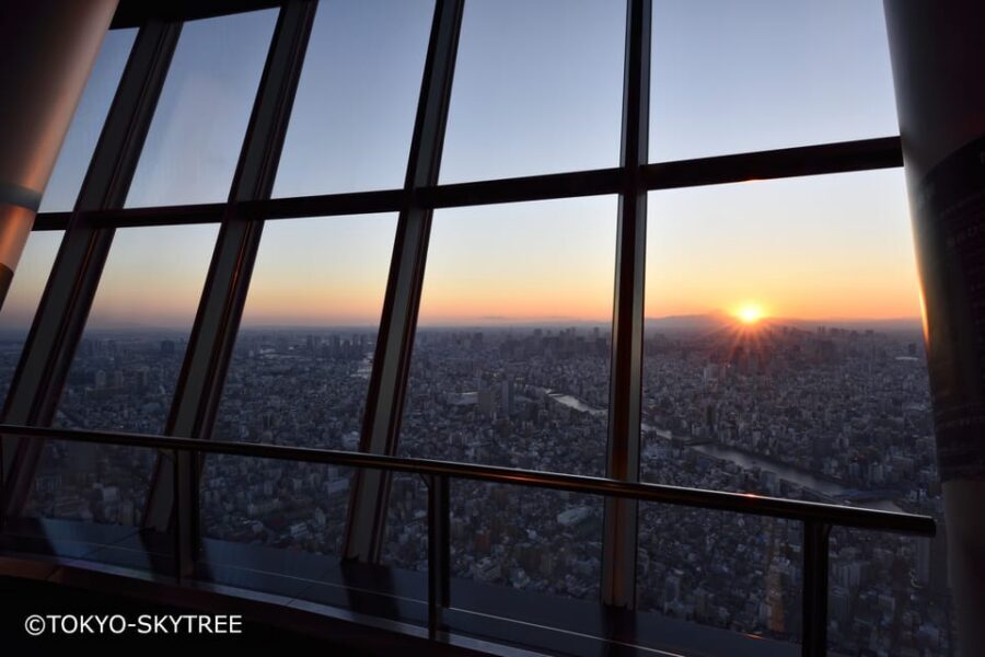 Tokyo: 1 Day Bus Tour with Meiji-Jingu,Odaiba,lunch&Skytree - Getting on the Hato Bus: Meeting Points, Comfort, and Pacing