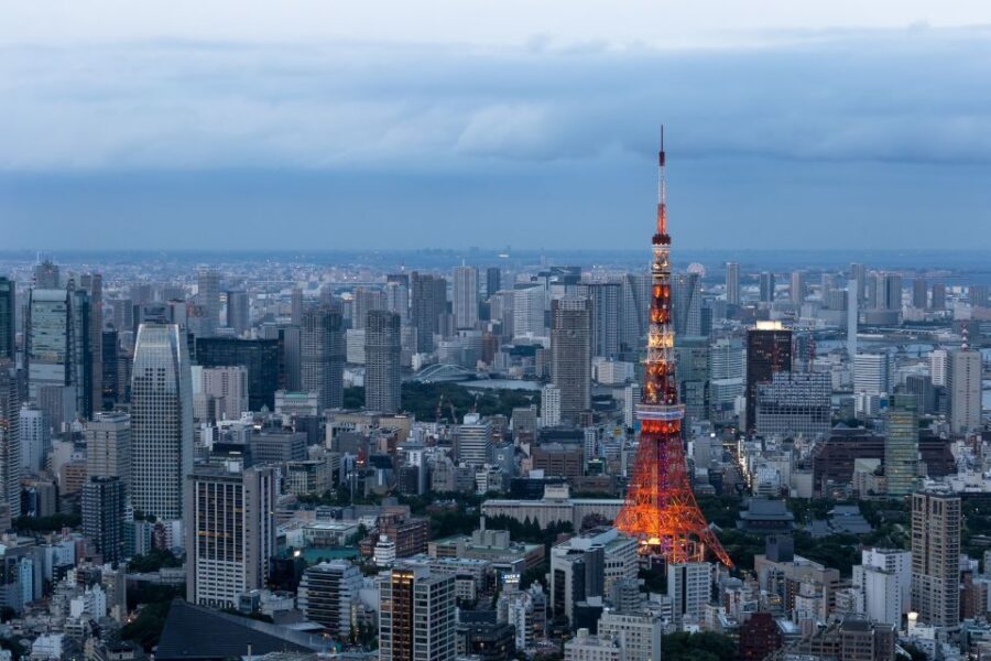 Tokyo: 1-Day Private Customizable Tour by Car - Private Car Comfort and the Driver-Guide Difference