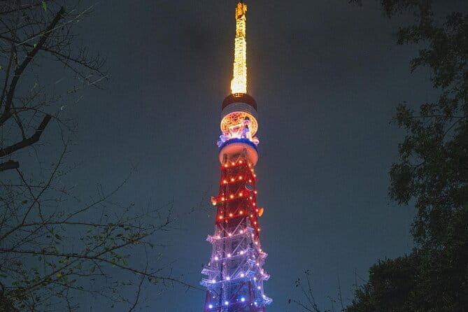 Tokyo 2-Day Private Walking Tour with Licensed Guide - Foot-walking reality: pace, comfort, and planning for heat