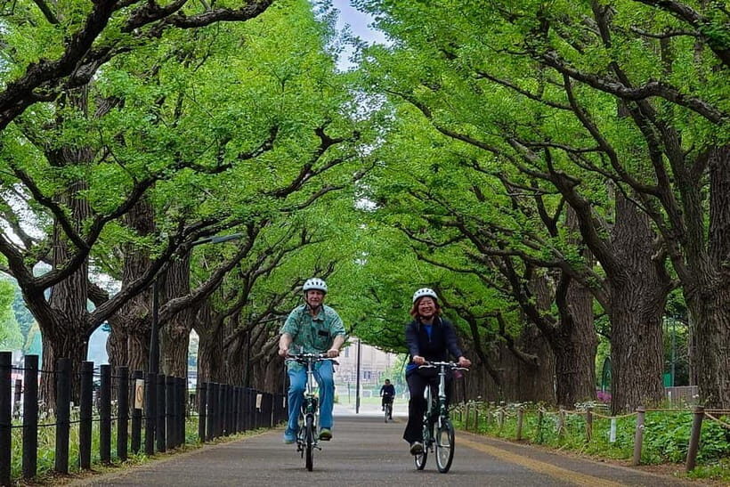 Tokyo: 3h Private E-bike Tours, Starting at Your Hotel - Private for a Reason: You Control the Route, Stops, and Tempo