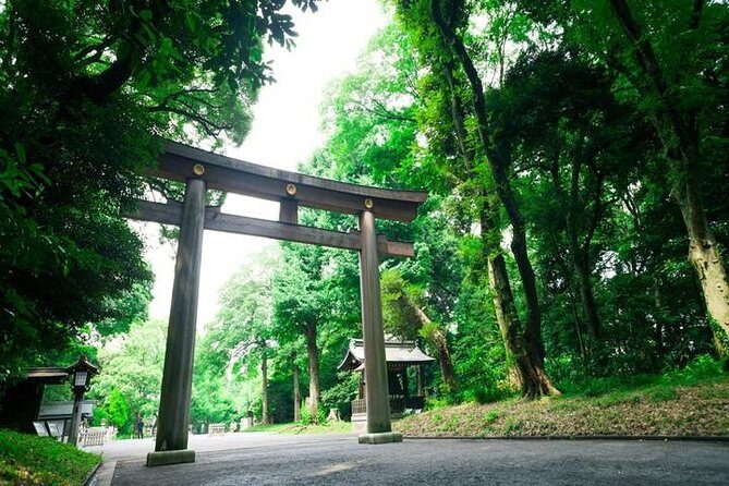 Tokyo 6 hour Tour : English Speaking Driver Only, No Guide - Meiji Jingu Shrine, Takeshita Street, and Shibuya Crossing