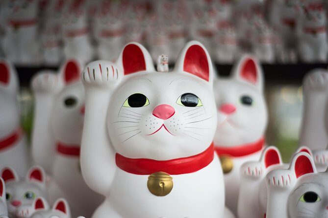 Tokyo 6 hours Customized Private Tour - The customization method: requests, pacing, and real flexibility